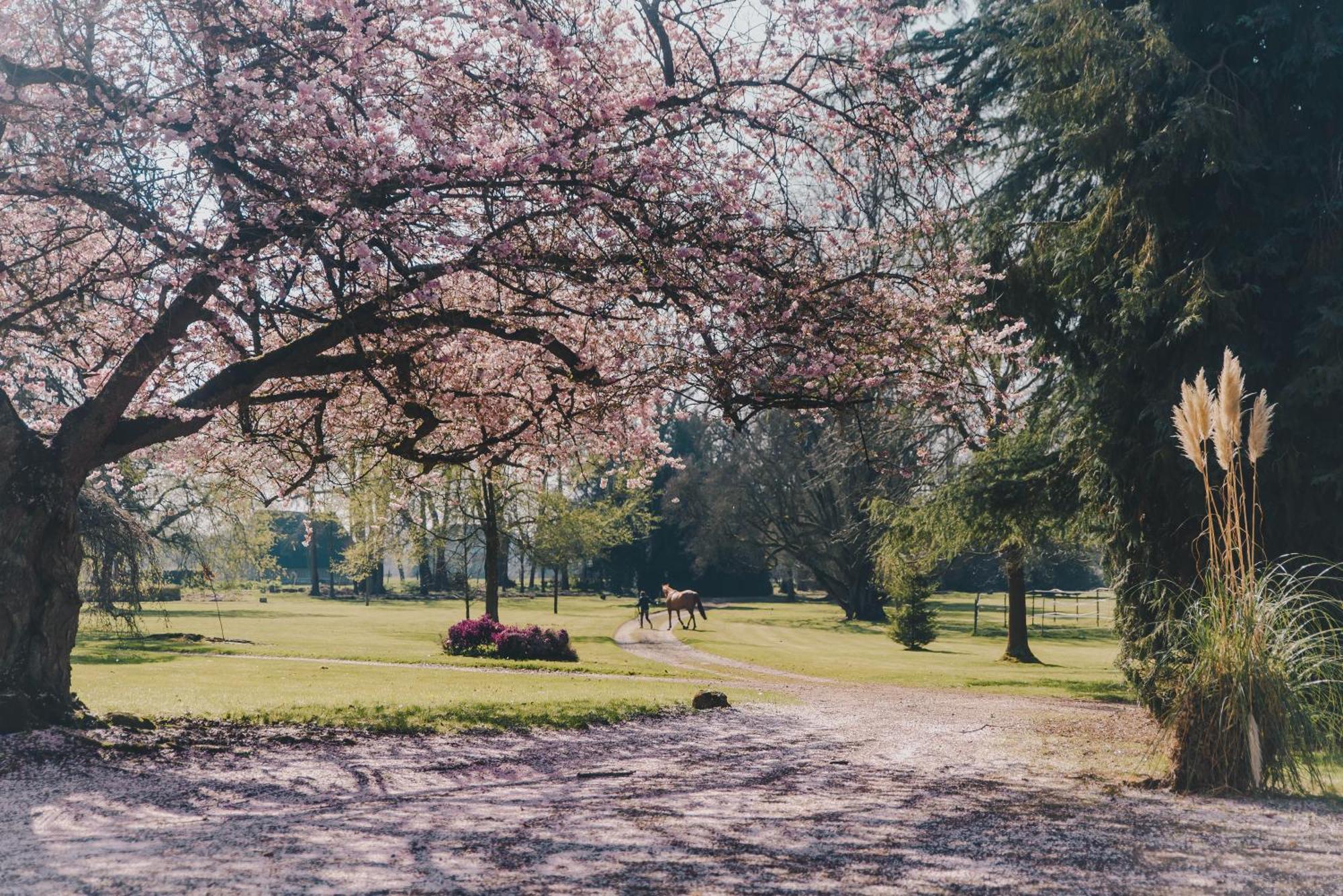 Chateau Du Landin Le Landin Zewnętrze zdjęcie